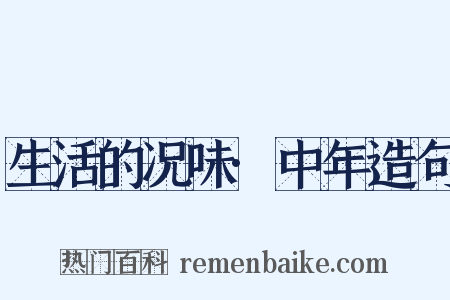 生活的况味·中年造句是什么意思的图片
